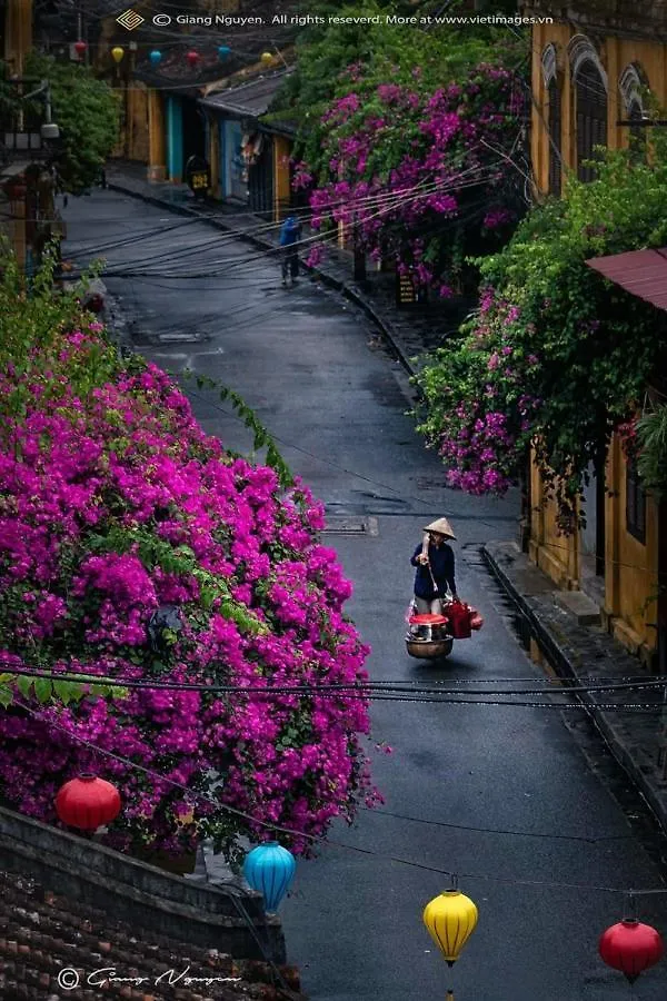 Hoian Mamson House Aparthotel Hoi An Vietnam